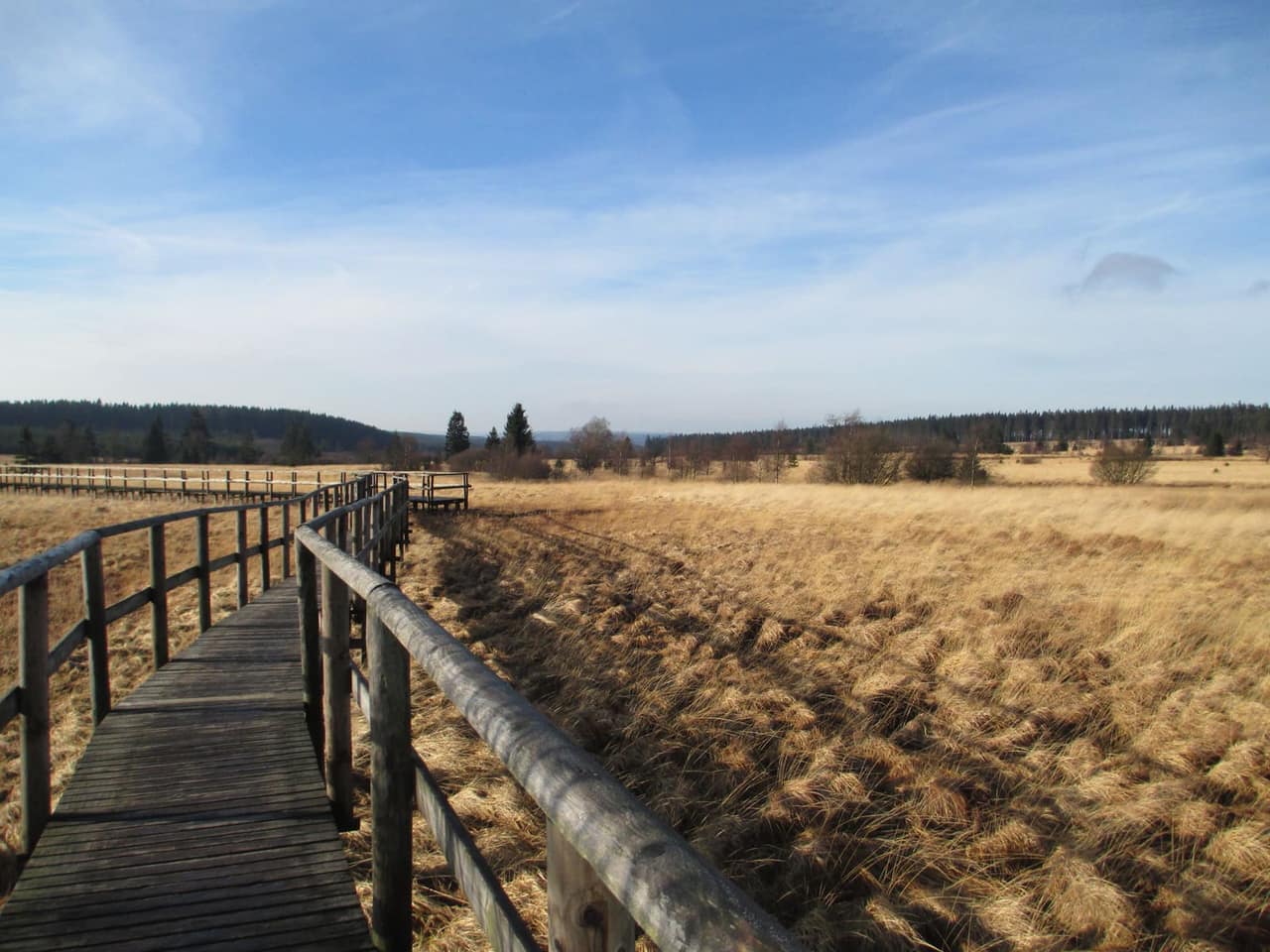 Walking holiday in the Belgian High Fens