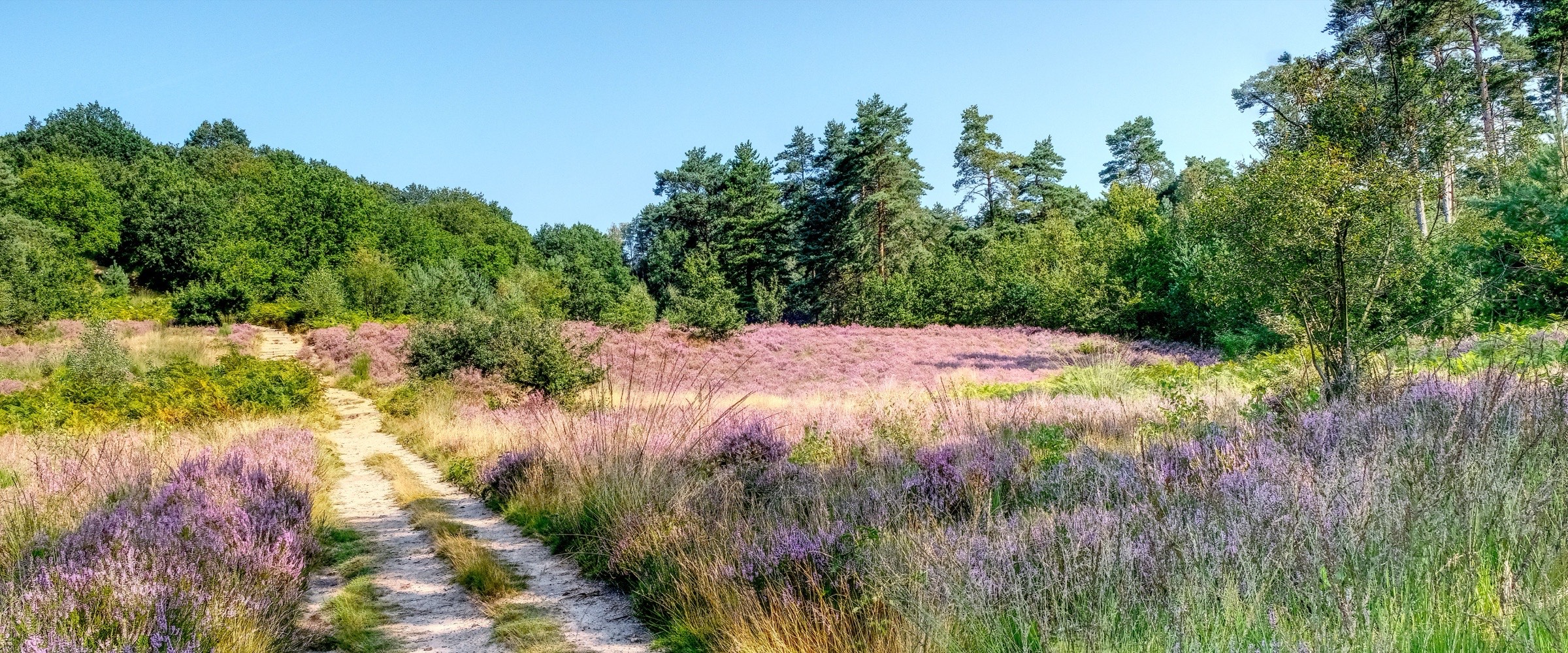 Kempen, België