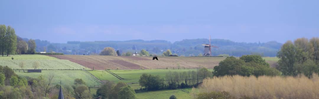 Rolling hills and green meadows in the Flemish Ardennes